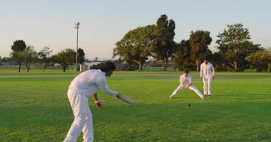 Kriket topunu delmek, çeşitli erkek arkadaşlarının kepçelemesi, parka geri dönüşü, kopyalama alanı. Atletizm, takım çalışması, sportmenlik, eğlence, açık hava, canlı, yoldaşlık.