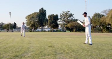 Kriket sopası vuruşuna tepki veriyor, yetişkin erkek oyuncu koşuyor, dalıyor ve kırmızı topu sahaya atıyor. Atletizm, takım çalışması, açık hava, aksiyon, sportmenlik, doğa, rekabet