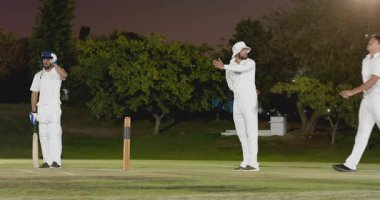 Hakem topu topa kaldırıyor, atıcı içeri giriyor, top sahada, vurucu topu bırakıyor. Atletizm, rekabet, takım çalışması, atletizm, açık hava, boş zaman, hareket