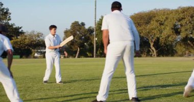 Top teslimatı çeşitli sopa sallamalarını tetikliyor, bekçi hamlesini ve saha dalışını. Atletik, spor, açık hava, takım çalışması, gayretli, aksiyon, boş zaman