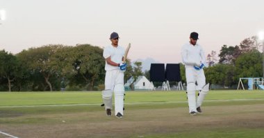 Saha maçında yürüyen, çeşitli erkek takım arkadaşları sopa kaldırıyor, kale vuruyor ve çıkıyorlar. Takım çalışması, yoldaşlık, kutlama, sportmenlik, atletizm, açık hava, rekabet