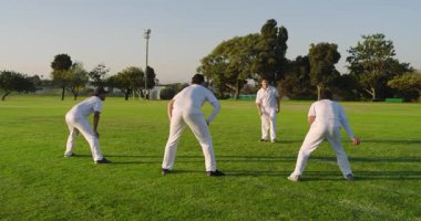 Çeşitli erkek kriket oyuncuları kırmızı topu atıyorlar, kaleci sahada bir sonraki topu topa atarken dalıyor. Atletik, takım çalışması, açık hava, aktif, spor, rekabet, fitness