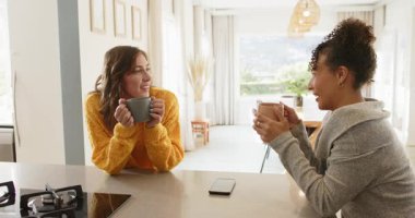 Çeşitli bayan arkadaşlar mutfak adasında bardak büyütüyor, şakalaşıyor, gülüyor ve kahve yudumluyorlar. Yoldaşlık, arkadaşlık, sosyalleşme, sıcak, samimi, çağdaş, yaşam tarzı