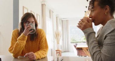 İlk yudumdan sonra, çeşitli bayan arkadaşlar mutfak adasında seramik bardakları tokuşturup gülüyorlar. Arkadaşlık, sosyalleşme, rahatlık, rahatlık, toplum, yaşam tarzı, sıcaklık.