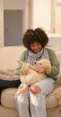 Dikey video: Yatakta köpek yavrusunu fark eden, koltukta kucağına alan ve bağ kurmak için göbeğini gıdıklayan kadın. Şefkat, arkadaşlık, konfor, kreş, şefkat, ev yapımı, dikey video