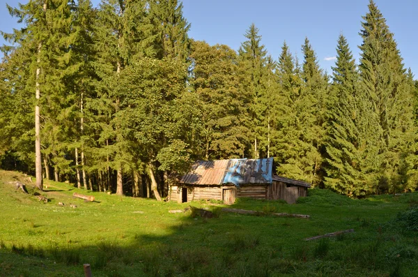 Старый деревянный дом в горах — стоковое фото