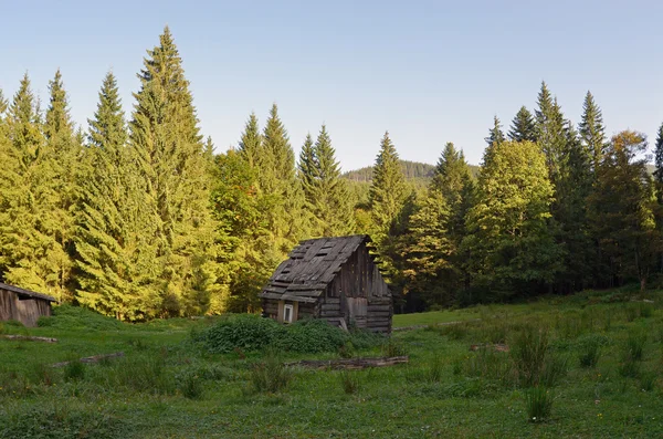 Gammalt trähus i fjällen — Stockfoto