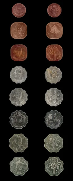 Kingdom of Swaziland coins set — Stock Photo, Image