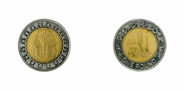 Egipt monety funta — Zdjęcie stockowe