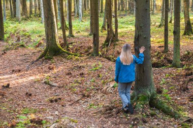 Büyük, güzel bir sonbahar ormanı, ortasında mavi elbiseli bir kız duruyor ve uzaklığa bakıyor. Turuncu sonbahar ormanı. Ortadaki adam..