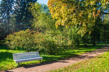 Yeşil park, orta yol ve köşedeki beyaz bank. Fotoğraf. Banklı bir park. Açık havada sakin bir yaz..