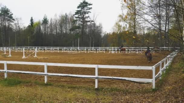 Children Ride Horses Full Gear People Learn Ride Horses Special — Stock Video