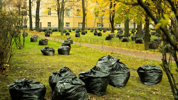 Laubernte Herbst Sorge Für Die Umwelt — Stockfoto