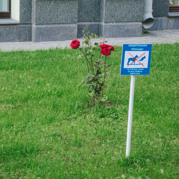 A sign on the lawn with the image of a dog, a translation from the Russian language - please do not walk dogs on the lawn.
