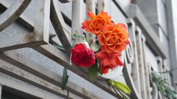 Bloemen leggen bij het monument. Anjers. — Stockvideo
