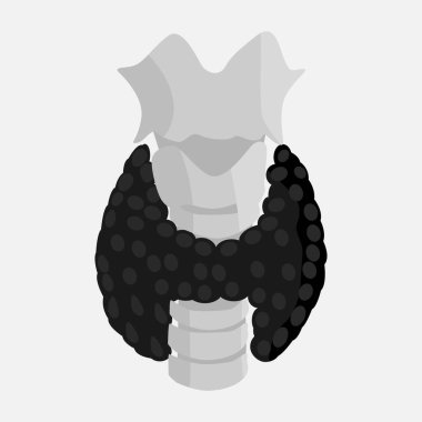 İnsan iç organlarının simgesi. Büyüme tarzında yapılmış bir simge. Bir adamın iç organları. İllüstrasyon istiyor.