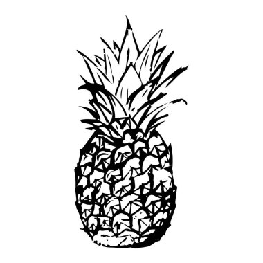El yapımı bir ananas çizimi. Kalem ve kalemle çizilmiş ananas. Vektör çizer.