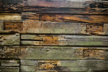 Yaşlı bir ağacın dokusu. Eski meşe tahtalarının üzerinde parmaklıklar var. Eski moda harika bir fotoğraf..