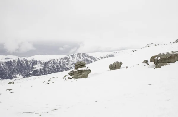 Snö täckta bergen — Stockfoto
