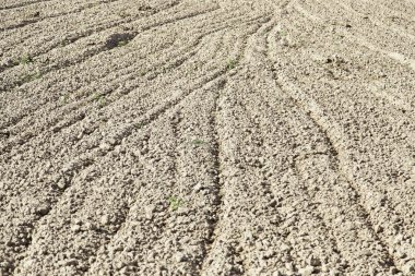 Sürülmüş tarım alanı