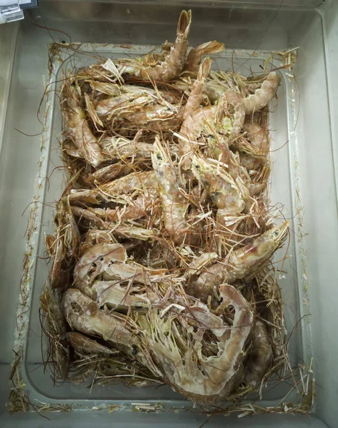 Camarão Congelado Peixeiro Alimento Fresco Para Peixes — Fotografia de Stock