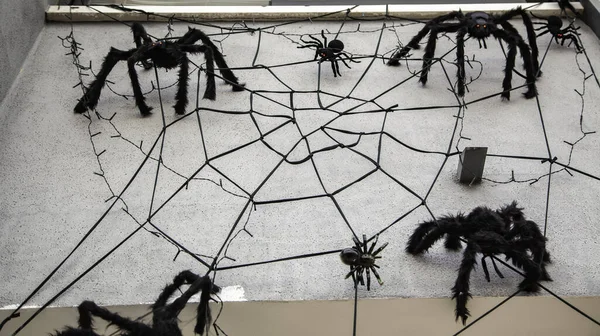 Spiderweb Παλιά Hallowen Τοίχο Ζώα Και Φύση Φεστιβάλ — Φωτογραφία Αρχείου