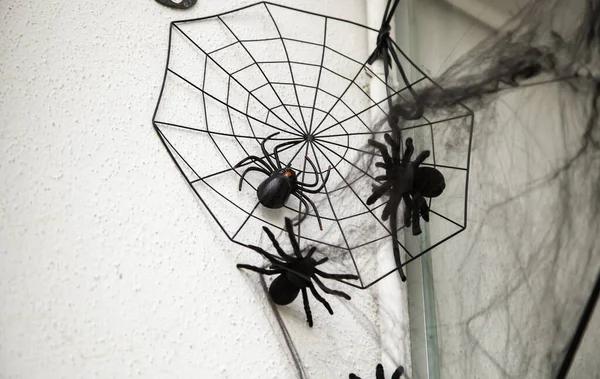 Spiderweb Παλιά Hallowen Τοίχο Ζώα Και Φύση Φεστιβάλ — Φωτογραφία Αρχείου