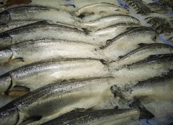 Рыболовство Пищевая Промышленность Рыба — стоковое фото