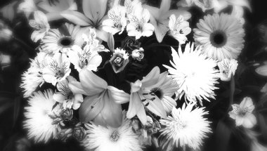 Düğün masasında damat gülleri, kutlama.