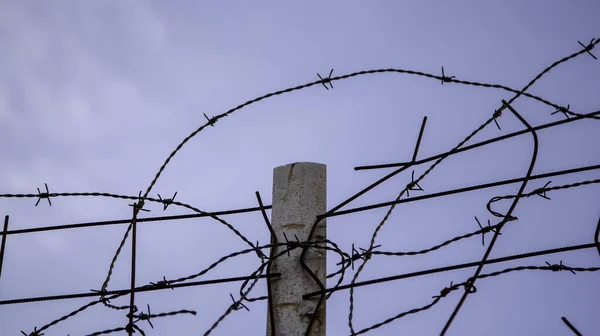 Barbed Wire Immigration Human Liberation Protection — Stock Photo, Image