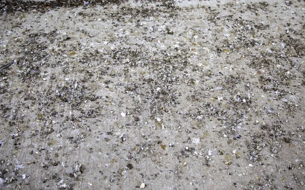 Piccione Escrementi Strada Urbana Infezioni Malattie Uccelli Sporchi — Foto Stock