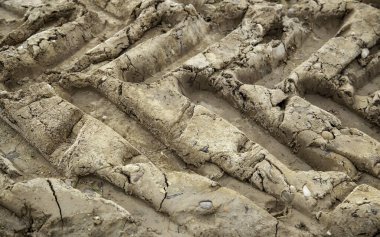 Alandaki çekici tekerlek izleri, tarım ve ulaşım, doku