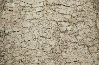 Alan, doğa ve tarımda çatlak toprak dokusu, kurak çevre
