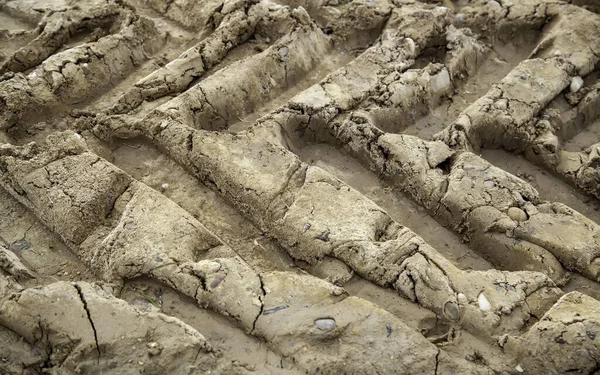 Alandaki Çekici Tekerlek Izleri Tarım Ulaşım Doku — Stok fotoğraf