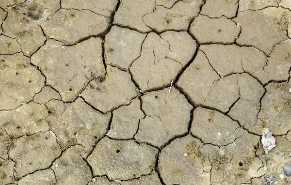 Cracked Earth Texture Field Nature Agriculture Arid Environment — Stock Photo, Image