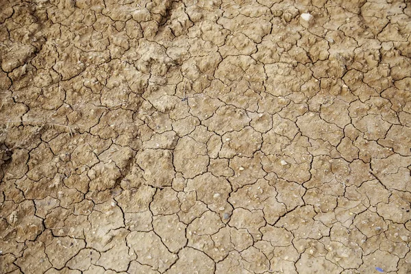 Textura Terra Rachada Campo Natureza Agricultura Ambiente Árido — Fotografia de Stock