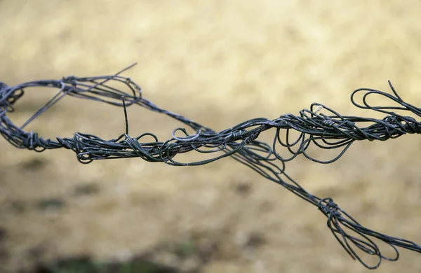 Cerca Metal Fino Proteção Segurança Detalhe — Fotografia de Stock