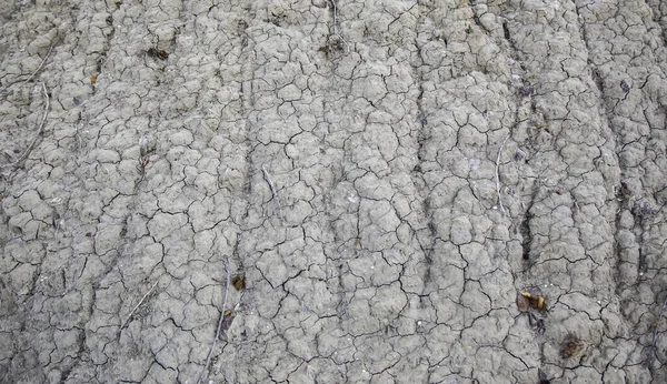 Popraskané Zeminy Textury Oblasti Příroda Zemědělství Suché Životní Prostředí — Stock fotografie