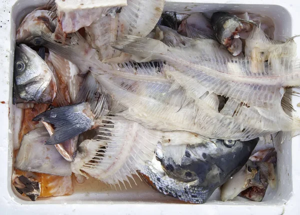 Surowe Złe Głowy Ryb Ulicy Odpady Zwierzęce Sprzedawca Ryb — Zdjęcie stockowe