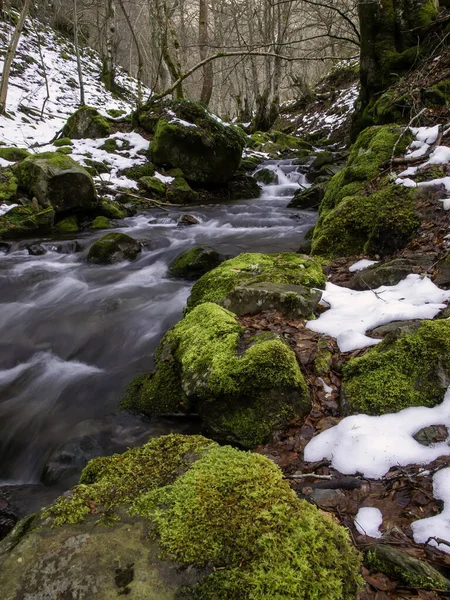 River Forest Snow Nature Reserve Winter Landscape — Stock Photo, Image