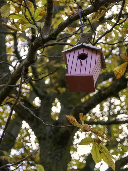 Casa Pájaros Madera Árbol Animales Aves Naturaleza — Foto de Stock