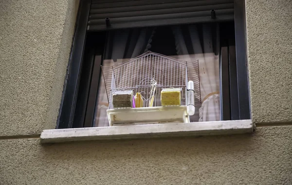 Bird in cage in street window, animals locked up, birds