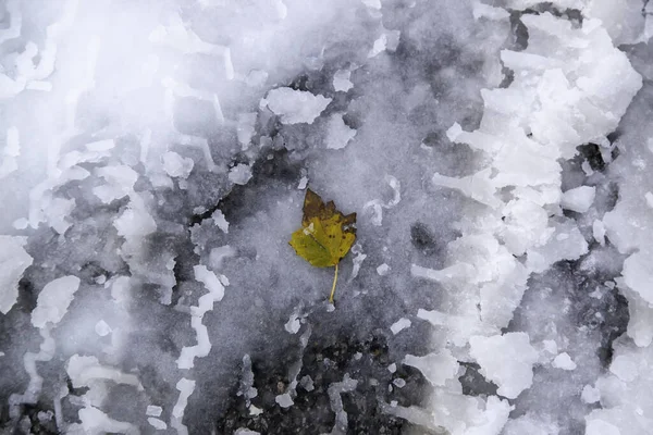 Herfstblad Grond Met Ijs Sneeuw Natuur Landschap Winter — Stockfoto