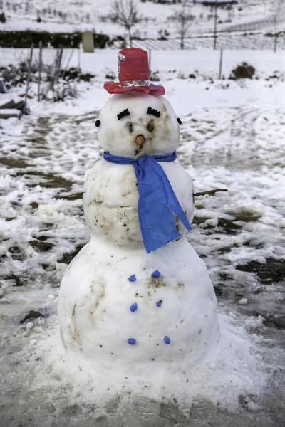 Sokakta Buz Gibi Kardan Adam Noel Figürleri Kış Eğlence — Stok fotoğraf