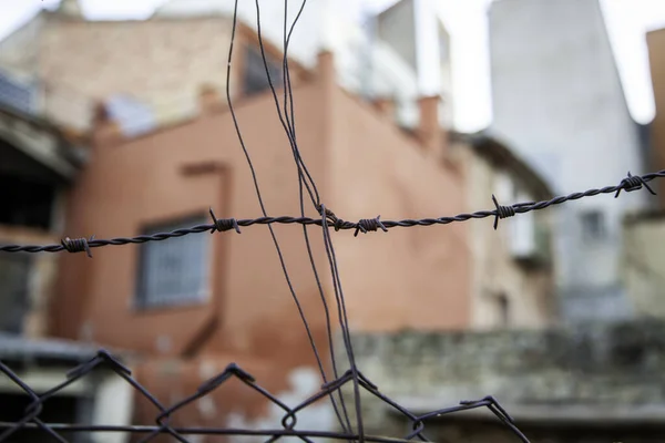 Alambre Púas Contra Inmigración Liberación Humana Protección — Foto de Stock