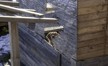 Kilitli köpek kulübeleri terk edilmiş, üzüntü