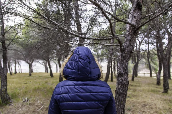 Zakapturzona Kobieta Lesie Spaceru Wędrówki Przygody Krajobraz — Zdjęcie stockowe