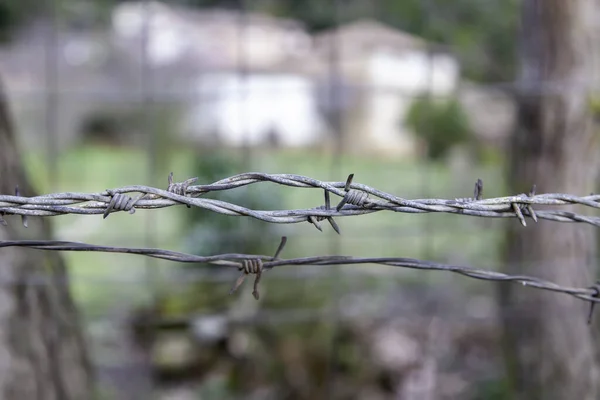 Barbed Wire Tegen Immigratie Menselijke Bevrijding Bescherming — Stockfoto