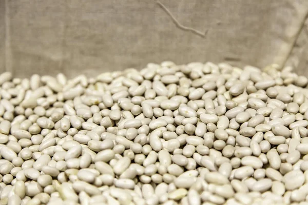 White beans in supermarket, legumes and agriculture, sale food