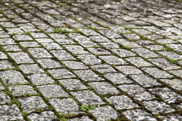 Stone floor with moss in urban street, construction and architecture, humidity